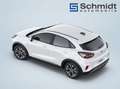 Ford Puma Titanium 1,0L Eboost Hybrid 125PS M FWD Weiß - thumbnail 3