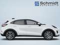 Ford Puma Titanium 1,0L Eboost Hybrid 125PS M FWD Weiß - thumbnail 7