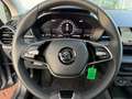 Skoda Fabia 1.0 MPI Essence SHZ,PDC,LED,GRA,NSW Grau - thumbnail 6