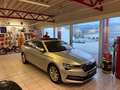 Skoda Superb Style iV Panorama Grau - thumbnail 6