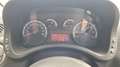 Fiat Panda Panda 1.3 mjt  Cross  4x4 Bianco - thumbnail 11