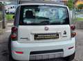Fiat Panda Panda 1.3 mjt  Cross  4x4 Bianco - thumbnail 4