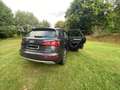 Audi Q5 Q5 50 TDI quattro tiptronic Grau - thumbnail 5