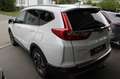 Honda CR-V 1.5 VTEC Turbo 4WD Executive CVT-Automat Білий - thumbnail 12