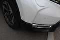 Honda CR-V 1.5 VTEC Turbo 4WD Executive CVT-Automat Білий - thumbnail 3