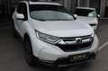Honda CR-V 1.5 VTEC Turbo 4WD Executive CVT-Automat Білий - thumbnail 2