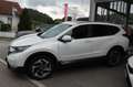 Honda CR-V 1.5 VTEC Turbo 4WD Executive CVT-Automat Білий - thumbnail 1