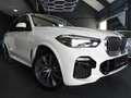BMW X5 XDRIVE 30 D M-PAKET/PANO/AHK/INDIVIDUAL Weiß - thumbnail 2