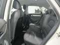 Audi Q3 2,0 TDI Design Quattro S-tronic Weiß - thumbnail 11