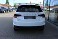 Skoda Fabia 1.0TSI Style LED+TEMPO+SITZHZG+BT+++ Weiß - thumbnail 7