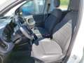Fiat Panda Cross 4x2 Firefly Hybrid (Red) Weiß - thumbnail 5