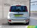 Fiat Panda Cross 4x2 Firefly Hybrid (Red) Weiß - thumbnail 7