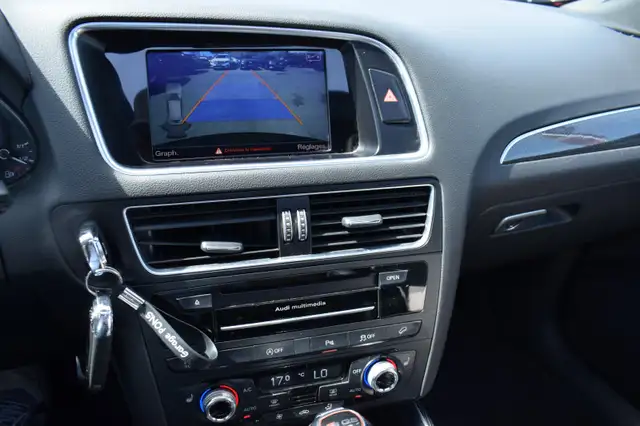 Audi SQ5 view 12