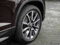 Skoda Karoq 2.0 TDI Scout 4x4 AHK PANO KAM LED NAVI Braun - thumbnail 5