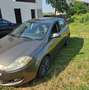 Fiat Bravo Bravo II 2007 1.9 mjt Emotion Or - thumbnail 1