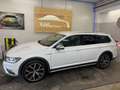 Volkswagen Passat Alltrack Passat Alltrack BMT 2,0 TDI SCR 4Motion DSG Weiß - thumbnail 4