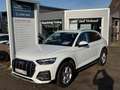 Audi Q5 40 TDI quattro advanced/1.Hd/AHK/LED/ACC/Navi Blanc - thumbnail 1