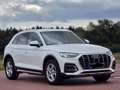 Audi Q5 40 TDI quattro advanced/1.Hd/AHK/LED/ACC/Navi Wit - thumbnail 2