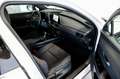 Lexus UX 250h PREMIUM Blanco - thumbnail 13
