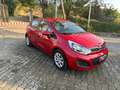 Kia Rio Rio III 2011 5p 1.1 crdi EX Rouge - thumbnail 2