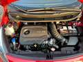 Kia Rio Rio III 2011 5p 1.1 crdi EX Rouge - thumbnail 20
