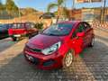 Kia Rio Rio III 2011 5p 1.1 crdi EX Rouge - thumbnail 3