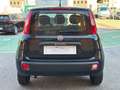 Fiat Panda PANDA 1.3 MUTLIJET 5 POSTI EURO 6 PERFETTA Noir - thumbnail 6