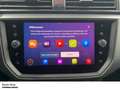 SEAT Ibiza Style 1.0 TSI Navi Kamera Sitzheizung Silber - thumbnail 12