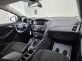 Ford Focus Business Weiß - thumbnail 11
