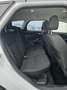 Ford Focus Business Weiß - thumbnail 14