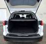 Ford Focus Business Weiß - thumbnail 10