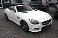 Mercedes-Benz SLK 250 CDI 7G-TRONIC - AMG-PAKET PANO IWC NAVI Blanc - thumbnail 21
