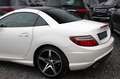 Mercedes-Benz SLK 250 CDI 7G-TRONIC - AMG-PAKET PANO IWC NAVI Blanc - thumbnail 28