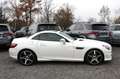 Mercedes-Benz SLK 250 CDI 7G-TRONIC - AMG-PAKET PANO IWC NAVI Blanc - thumbnail 26