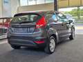 Ford Fiesta Ambiente MY2010+EURO5 Gris - thumbnail 9