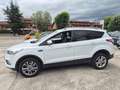 Ford Kuga 2.0 TDCI 150 CV S&S 2WD Vignale Euro6 Blanc - thumbnail 7