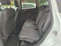 Ford Kuga 2.0 TDCI 150 CV S&S 2WD Vignale Euro6 Blanc - thumbnail 20