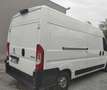 Fiat Ducato 335 2.2 BlueHDi 140CV S&S L3H2 FRIGO ZANOTTI 0°C Bianco - thumbnail 3