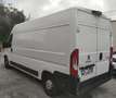 Fiat Ducato 335 2.2 BlueHDi 140CV S&S L3H2 FRIGO ZANOTTI 0°C Bianco - thumbnail 5