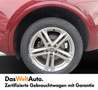 Audi Q5 40 TDI ultra quattro Sport Rot - thumbnail 8