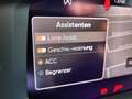 CUPRA Terramar "VZ" 2.0 TSI DSG 4Drive *sofort verf.* Blanc - thumbnail 15