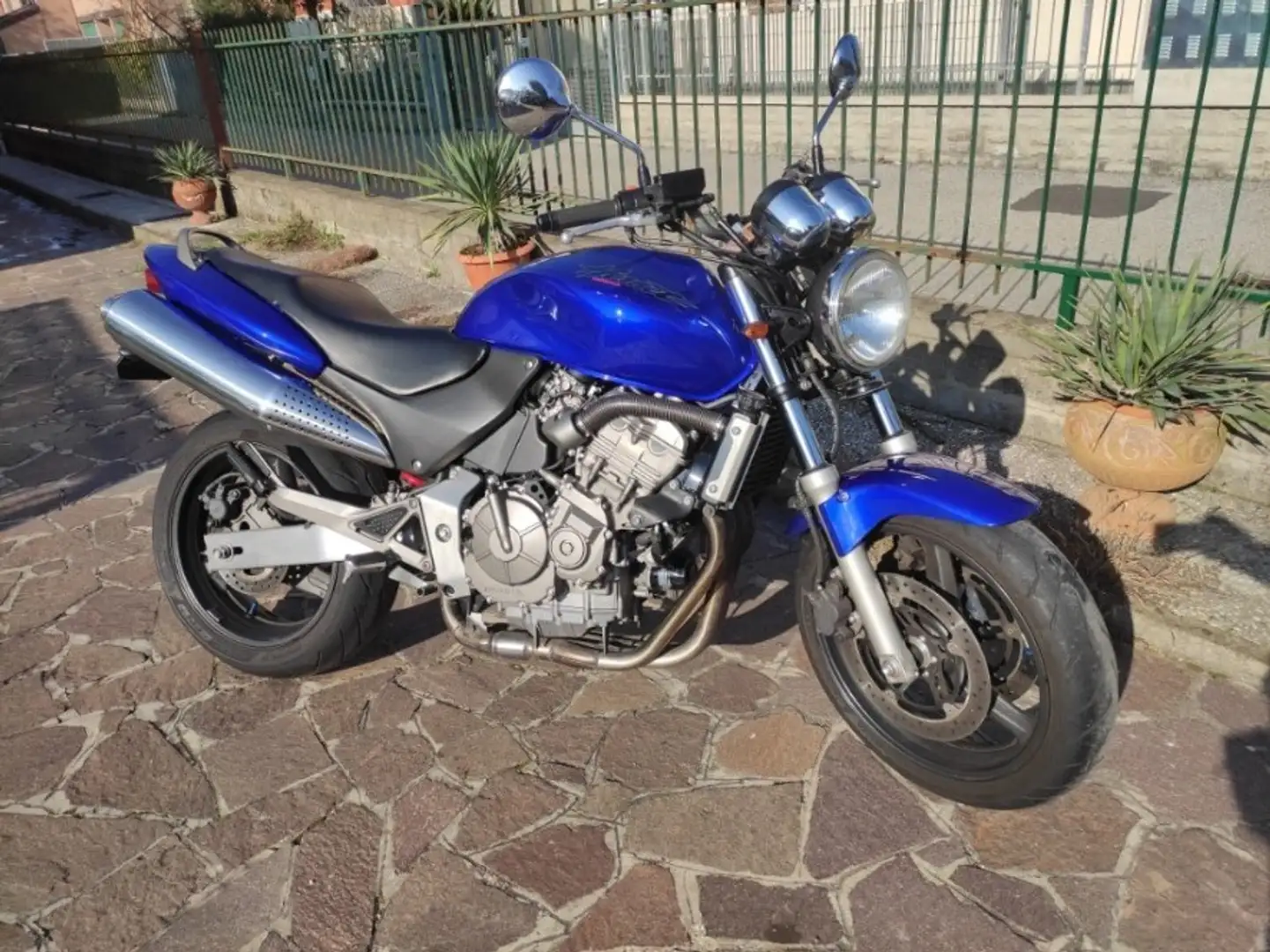 Honda Hornet 600 Blu/Azzurro - 1