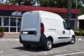 Fiat Doblo Cargo Maxi XL 1.6 Multijet S&S PL TA Lounge 105CV Bianco - thumbnail 5