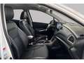 Suzuki S-Cross GLX - HYBRID Weiß - thumbnail 8
