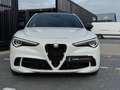 Alfa Romeo Stelvio 2.9 V6 AWD Quadrifoglio - KERAMISCH - SCHUIFDAK - Wit - thumbnail 4