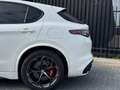 Alfa Romeo Stelvio 2.9 V6 AWD Quadrifoglio - KERAMISCH - SCHUIFDAK - Wit - thumbnail 10