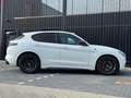 Alfa Romeo Stelvio 2.9 V6 AWD Quadrifoglio - KERAMISCH - SCHUIFDAK - Wit - thumbnail 12