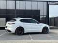 Alfa Romeo Stelvio 2.9 V6 AWD Quadrifoglio - KERAMISCH - SCHUIFDAK - Wit - thumbnail 2