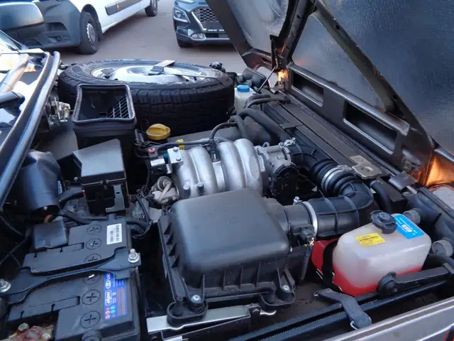 Lada Taiga view 13