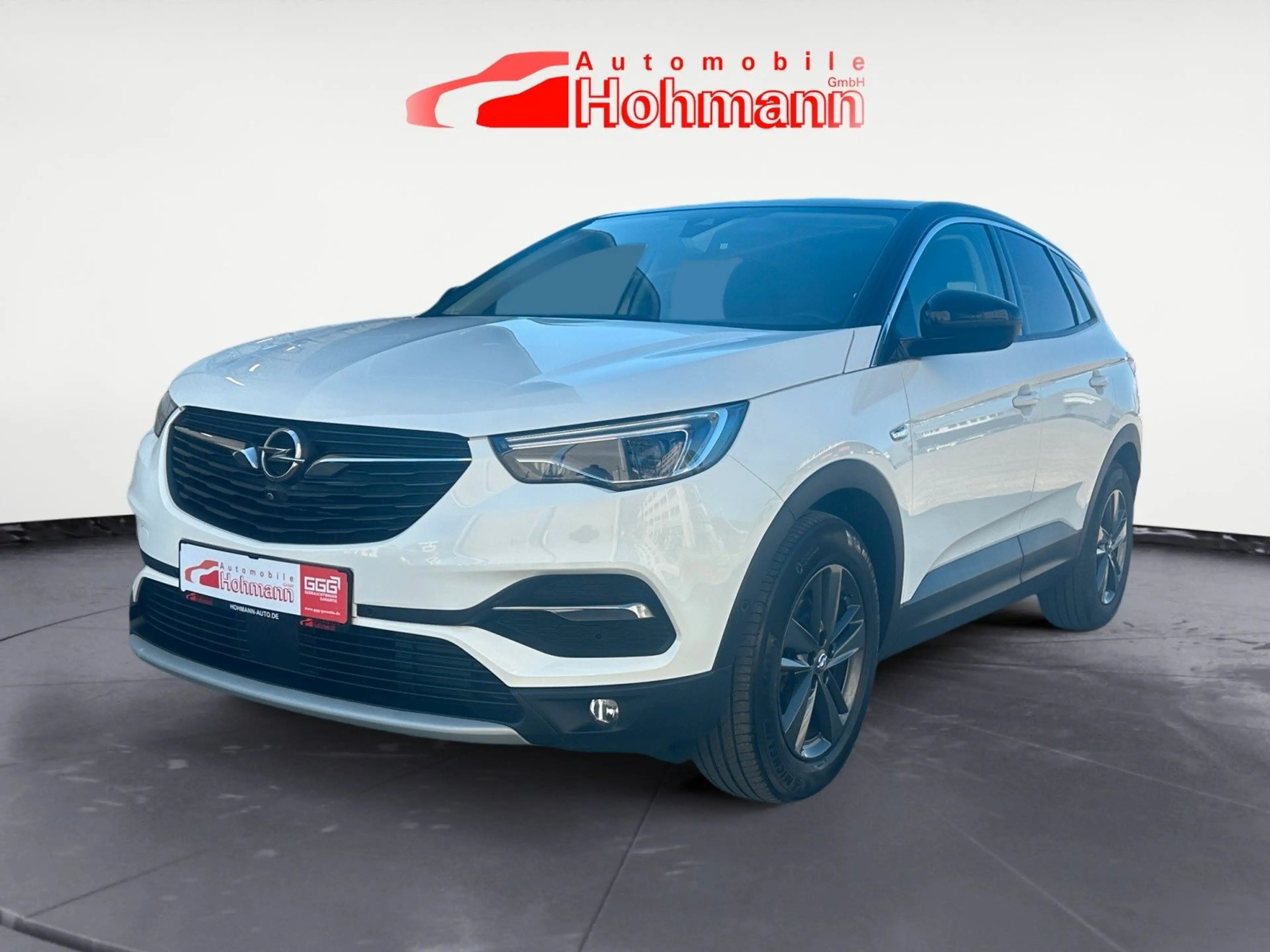 Opel Grandland X Design Line 360CAM+AHK+NAVI+SHZ+TOTW